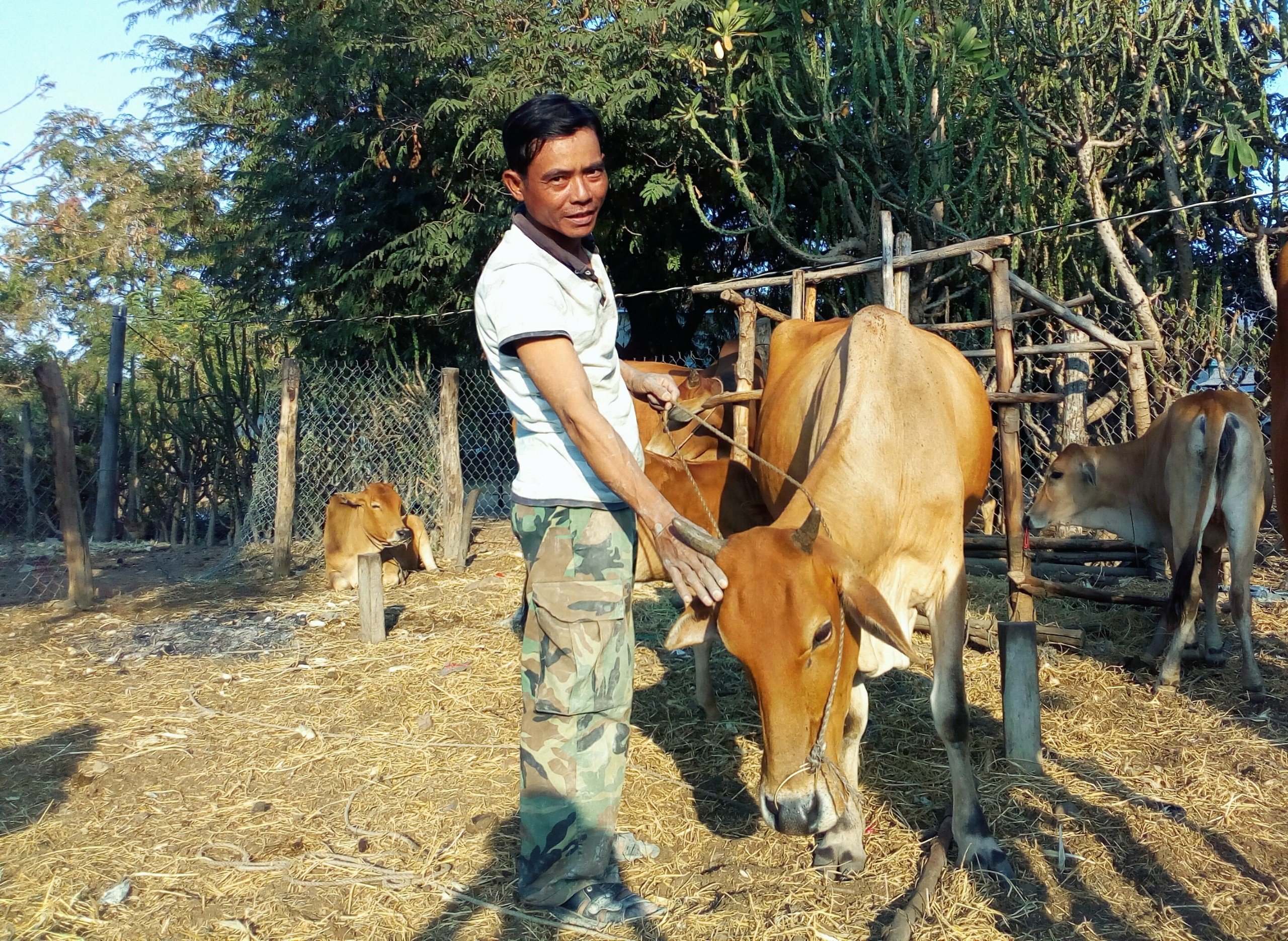 Ninh Sơn:  Triển khai thực hiện Dự án 01 “Giải quyết tình trạng thiếu đất ở, nhà ở, đất sản xuất, nước sinh hoạt”