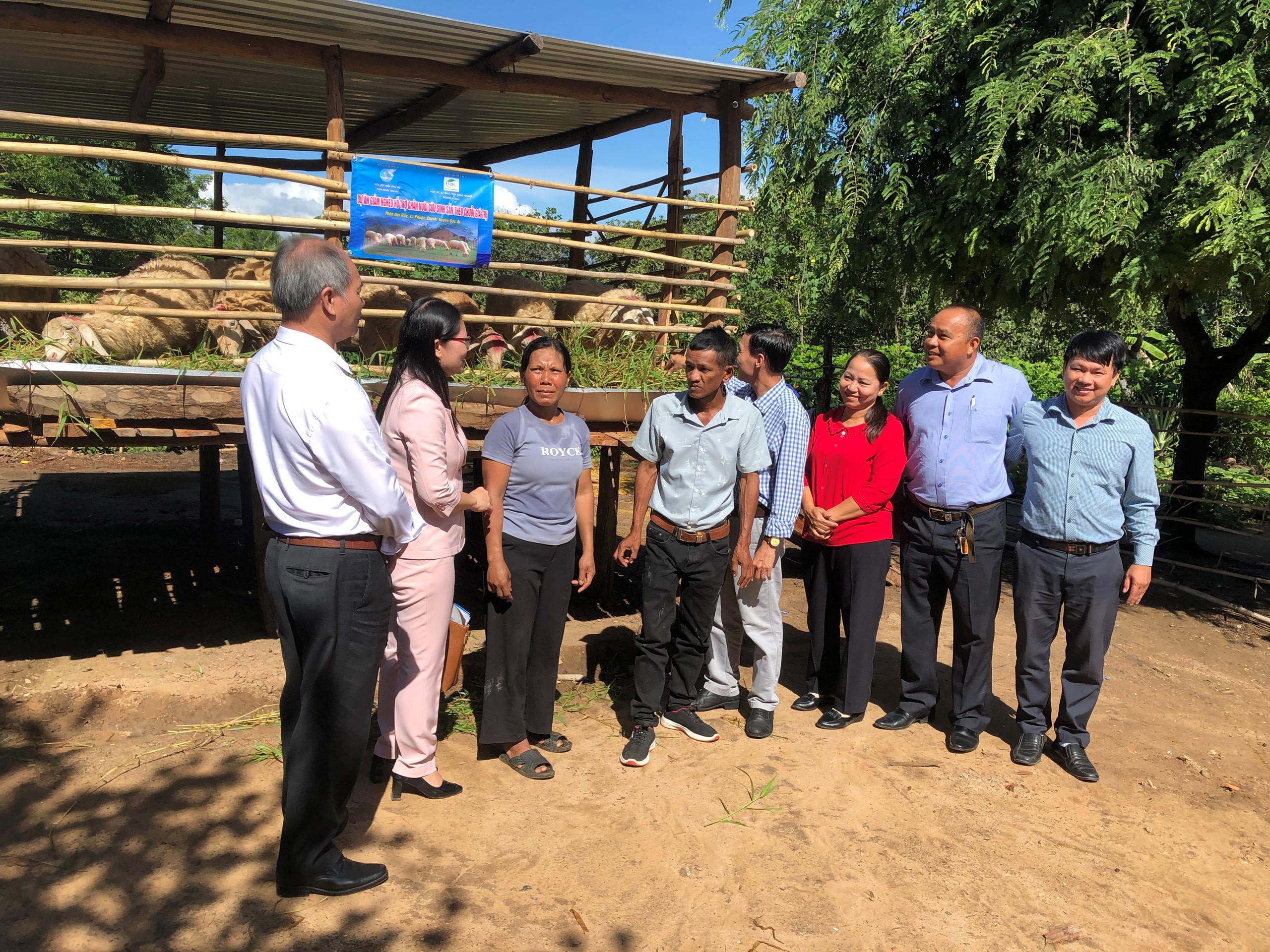 Ra mắt dự án giảm nghèo hỗ trợ chăn nuôi cừu sinh sản theo chuỗi giá trị tại xã Phước Chính huyện Bác Ái